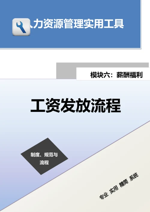 工资发放流程.docx