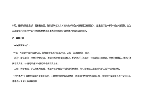 三道堰市场调查研究报告.docx