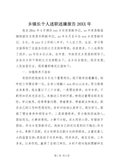 乡镇长个人述职述廉报告某年.docx