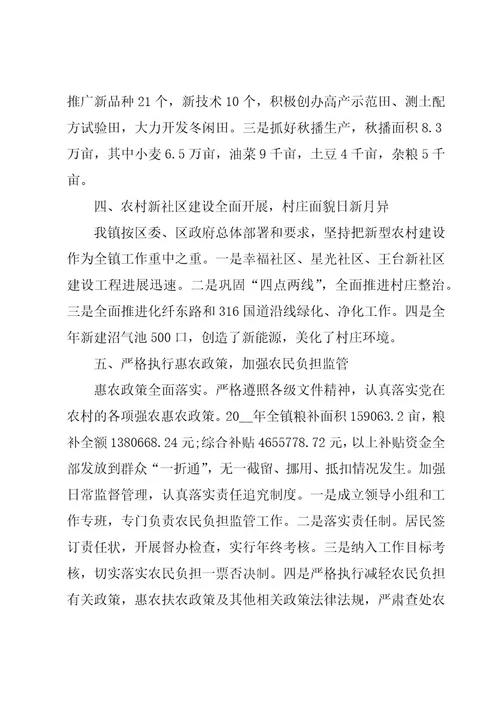 乡镇农业工作总结格式模板（3篇）