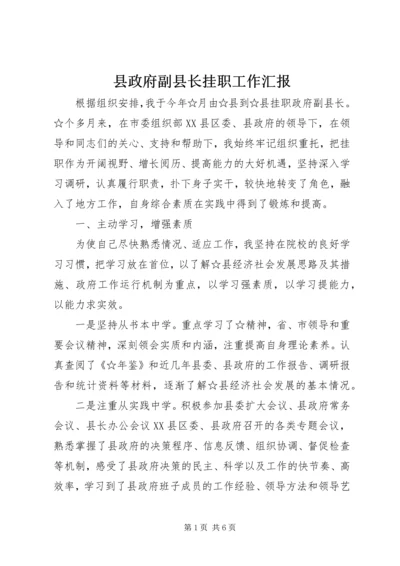 县政府副县长挂职工作汇报.docx