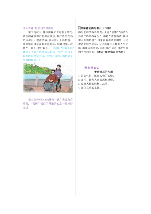 第二单元 第五课 秋天的思念-【教材解读】2022-2023学年人教部编版语文七年级上册