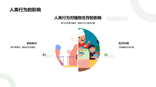揭秘绿色之源