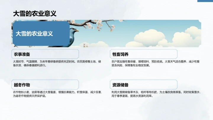 二十四节气大雪PPT模板