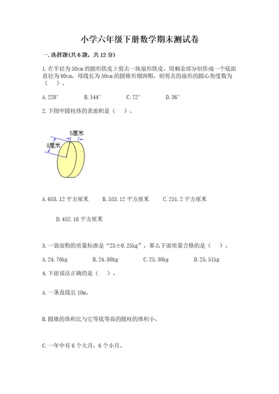 小学六年级下册数学期末测试卷带答案（能力提升）