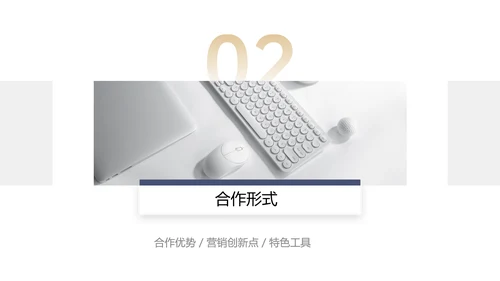 简约商务风企业营销渠道合作方案