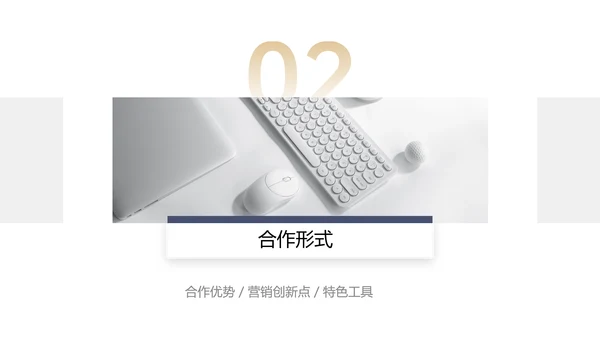 简约商务风企业营销渠道合作方案