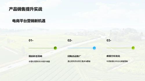 农产品电商春节营销解析