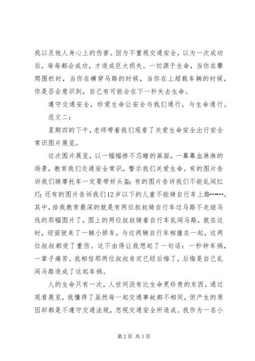 关爱生命安全出行 (5).docx