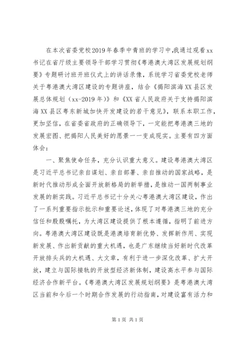 粤港澳大湾区规划学习心得两篇.docx