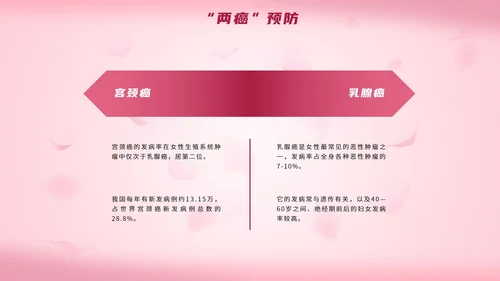 简约粉色女性生理健康PPT模板