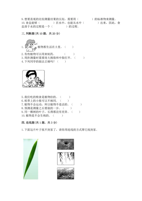 教科版一年级上册科学期末测试卷及参考答案【考试直接用】.docx