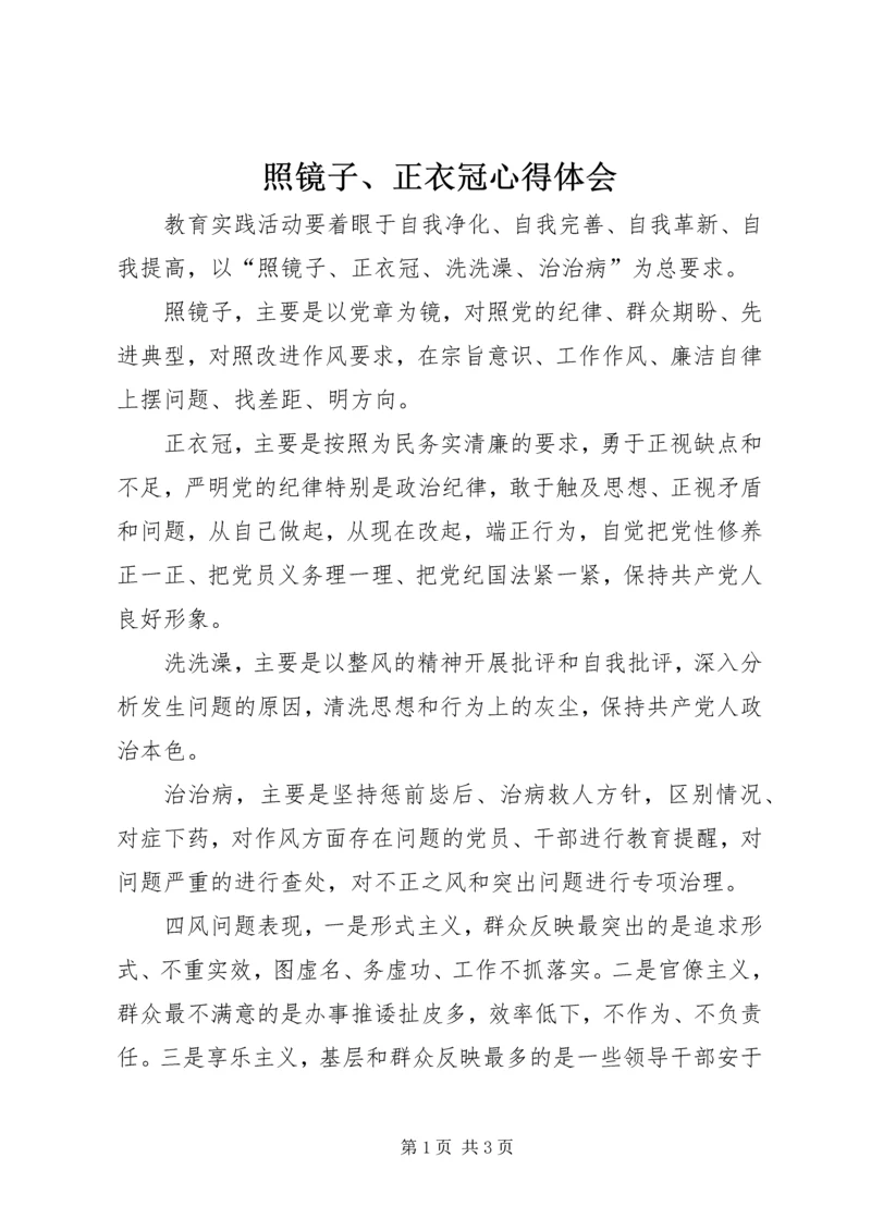 照镜子、正衣冠心得体会.docx