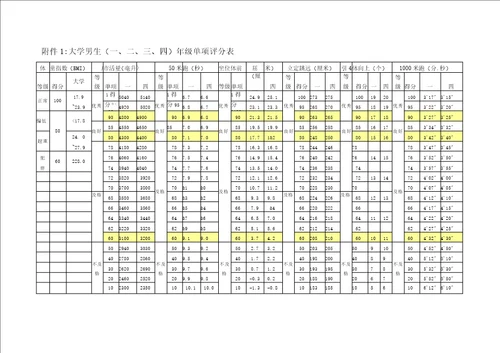 大学关于提高大学生体质健康水平的实施方案