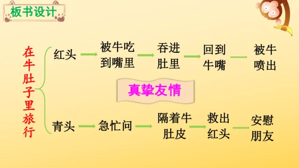 10 在牛肚子里旅行    课件