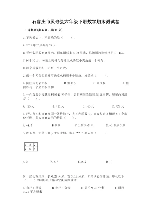 石家庄市灵寿县六年级下册数学期末测试卷及完整答案一套.docx