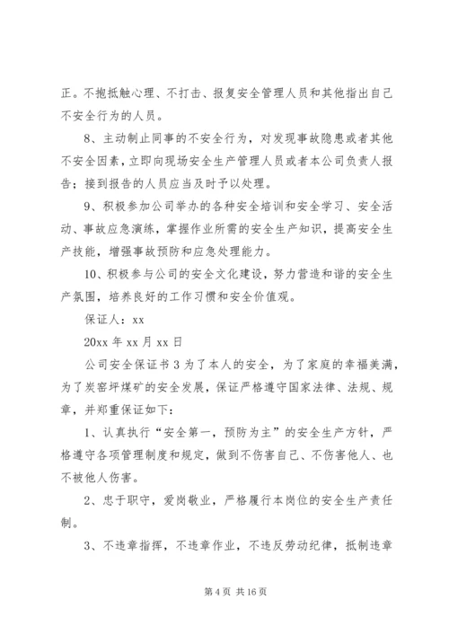 公司安全保证书5篇范文.docx