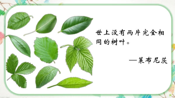 不一样的你我他统编版道德与法治下册