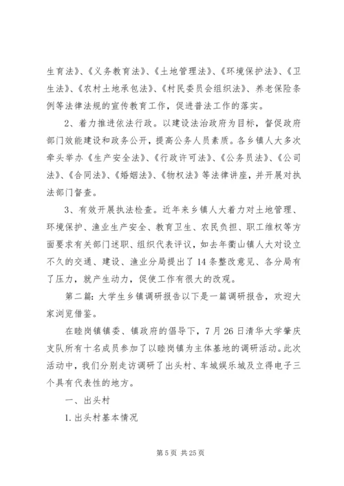 乡镇调研报告范文.docx
