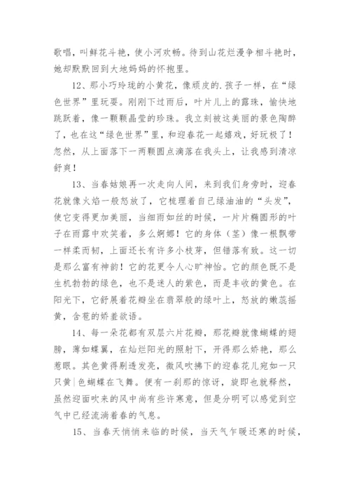 描写迎春花好句好段.docx