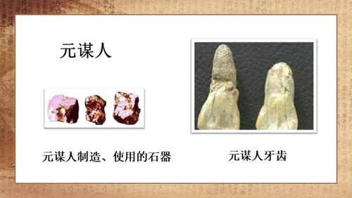 初中历史《人类起源》教学通用PPT课件