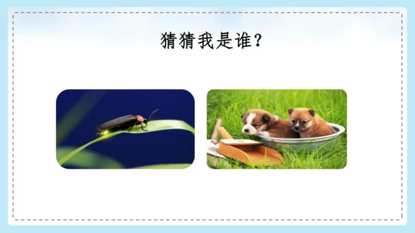 统编版语文二年级上册 课文1  口语交际 有趣的动物  课件
