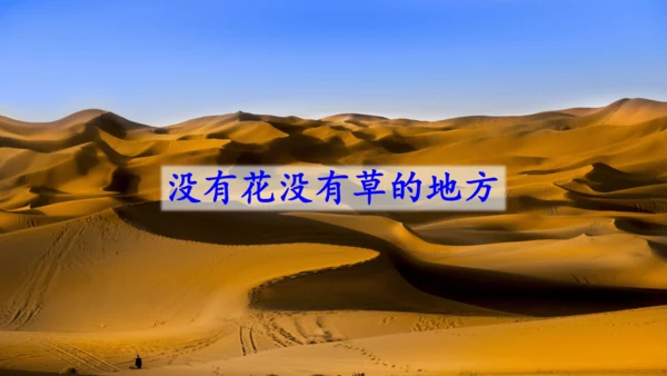 8 雨点儿  课件