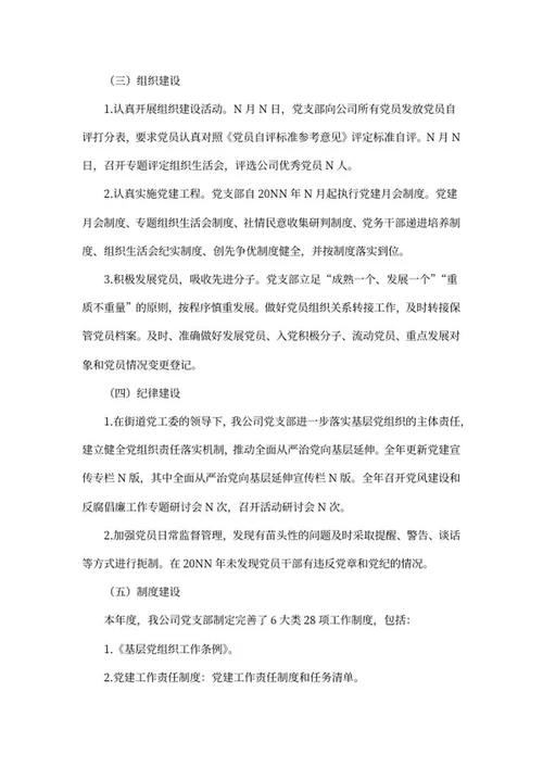 公司党支部建设工作汇报word模板