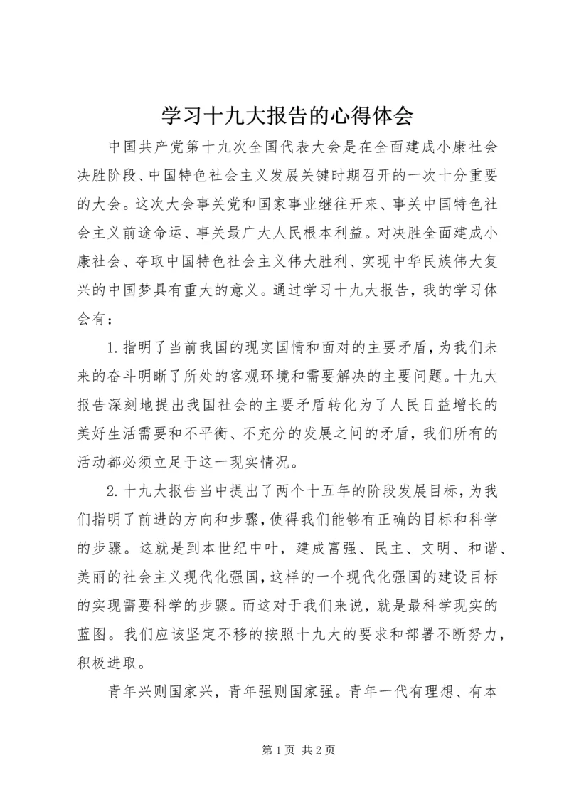 学习十九大报告的心得体会 (6).docx