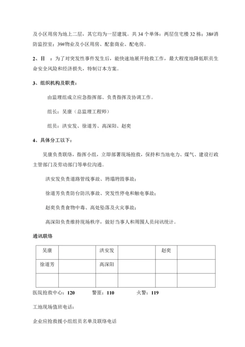 监理应急专题预案新版细则.docx