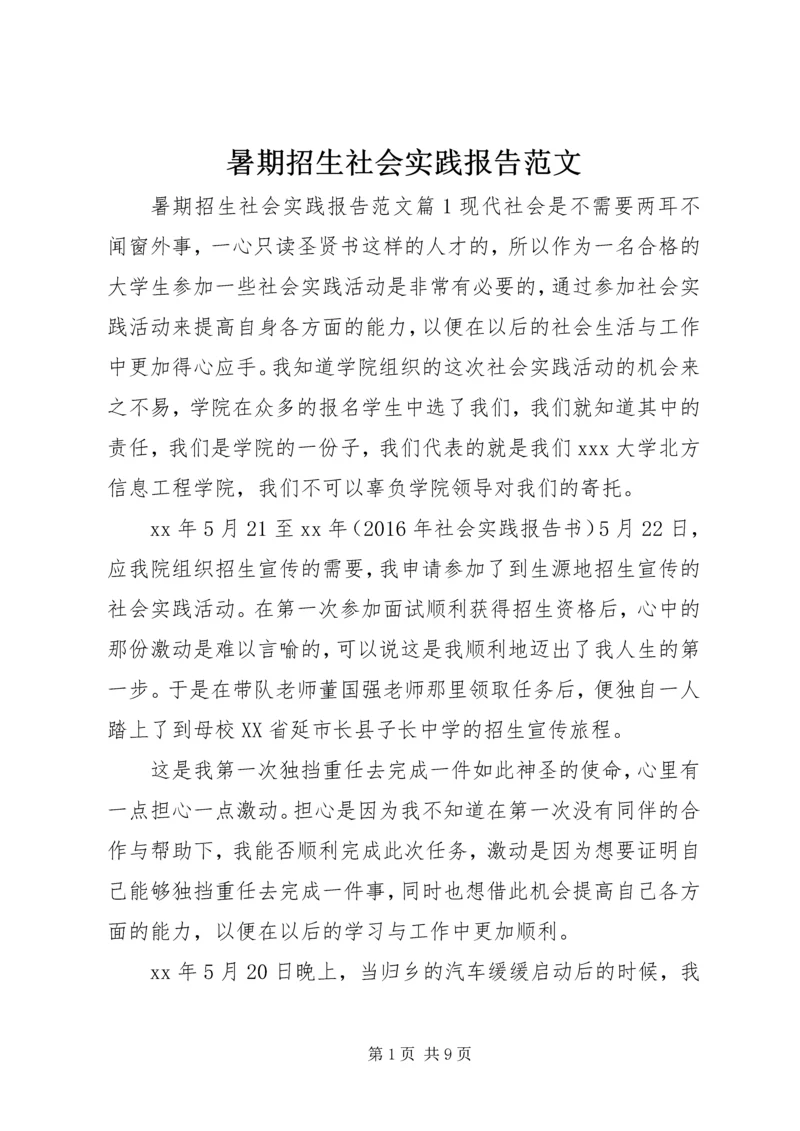 暑期招生社会实践报告范文.docx