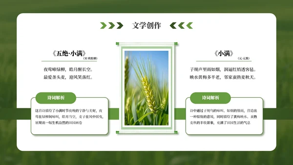 绿色小满节气介绍通用模板
