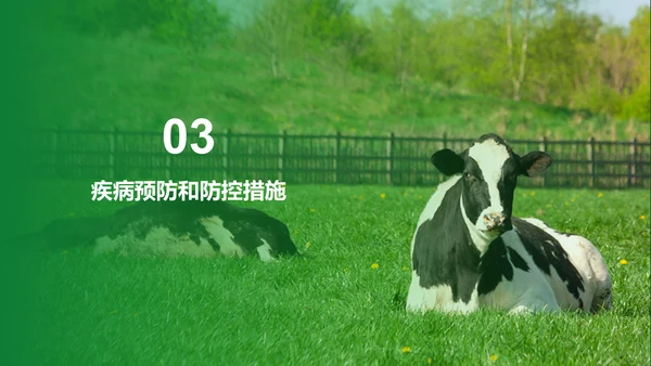 绿色现代养殖流程管理与疾病预防PPT模板