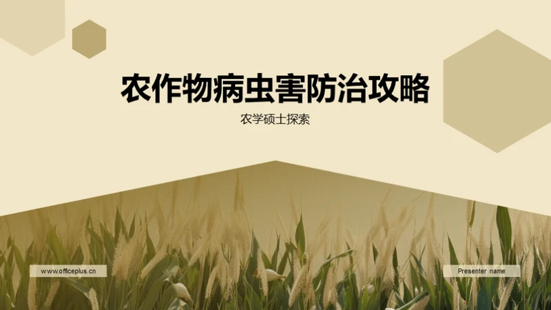 3D风教育培训教学课件PPT模板