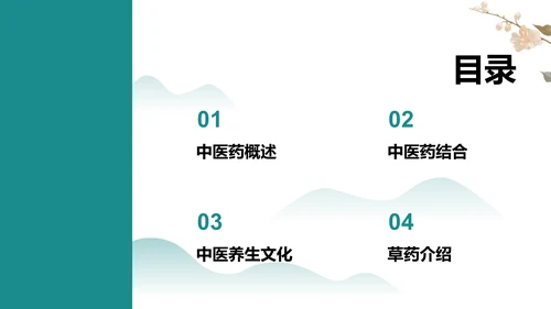 中医药基础知识介绍PPT模板