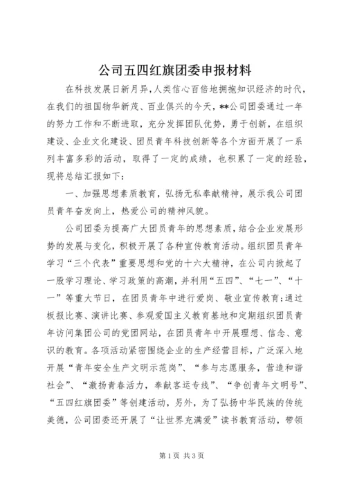 公司五四红旗团委申报材料 (2).docx