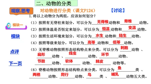 人教版生物七年级上册2.4.1《尝试对生物的分类》（教学课件）(共23张PPT)