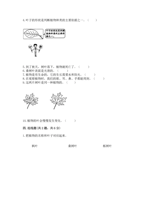 教科版一年级上册科学期末测试卷含答案（巩固）.docx