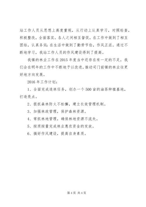 乡镇年度林业工作总结与工作计划.docx