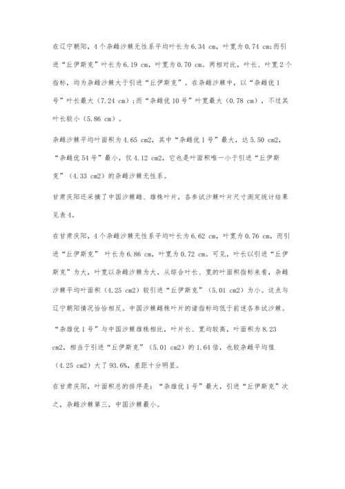三北地区不同沙棘类型的叶片参数测定分析.docx