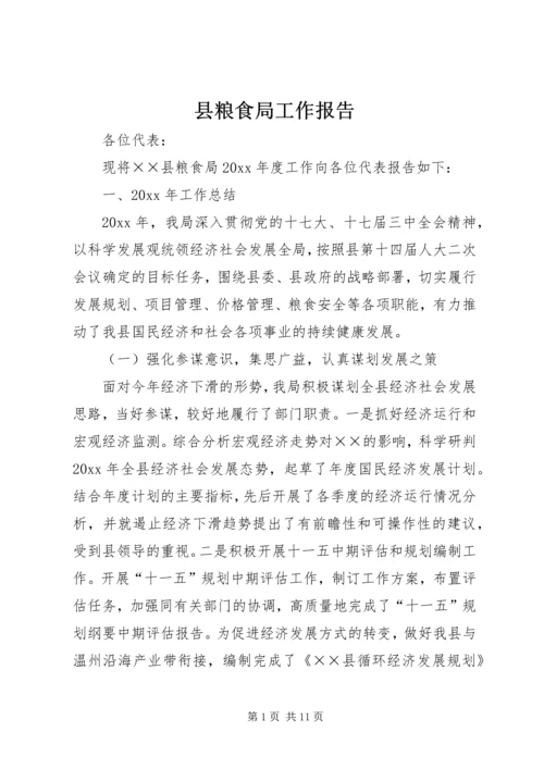 县粮食局工作报告 (6).docx