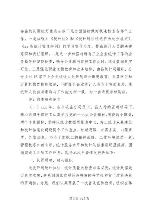 最新统计自查报告范文.docx