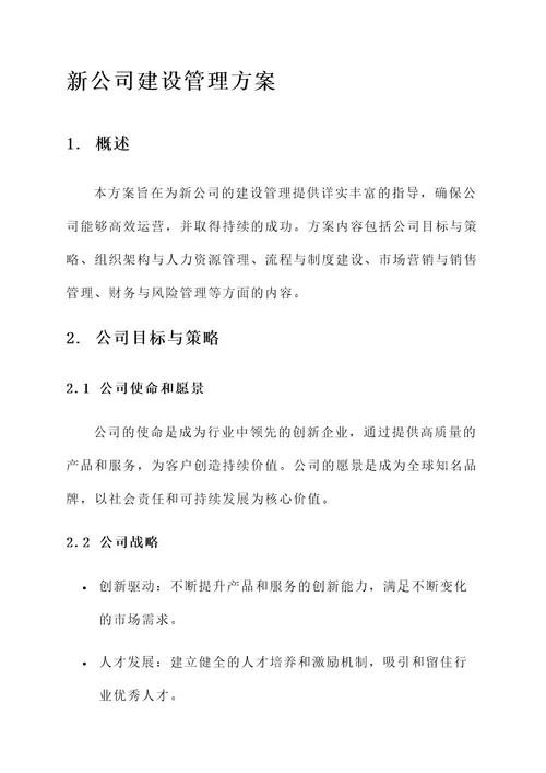 新公司建设管理方案