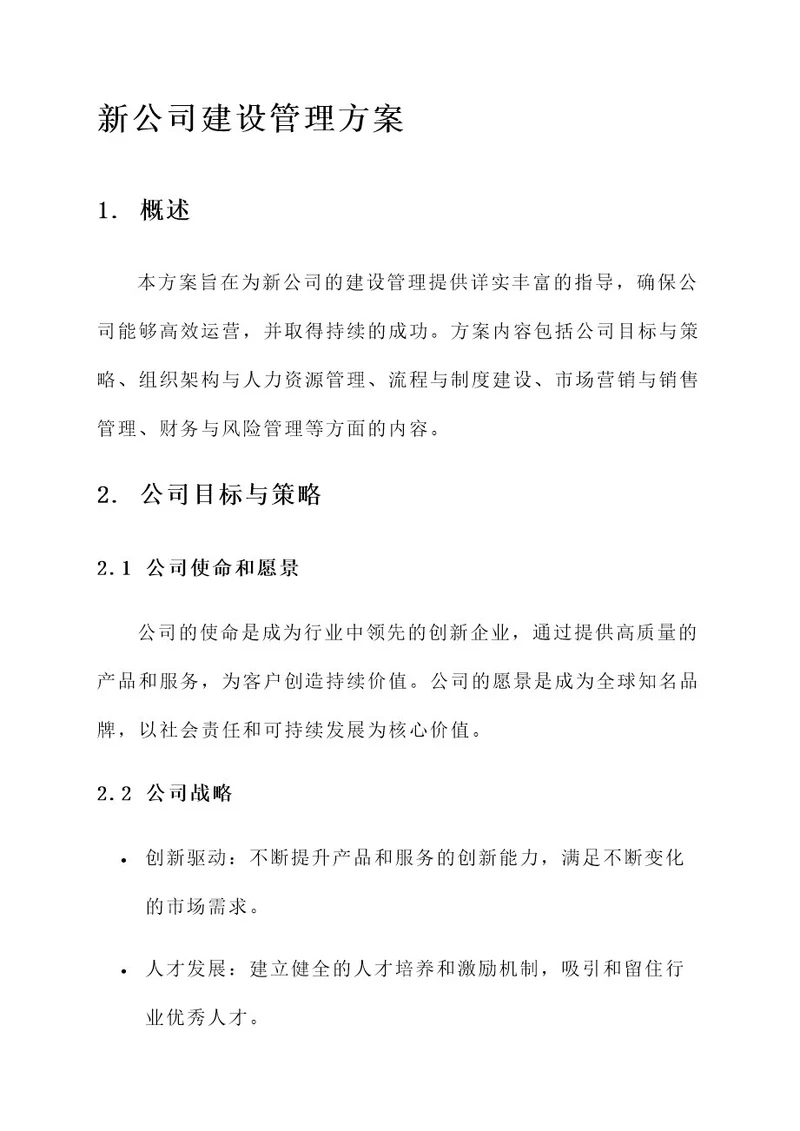 新公司建设管理方案