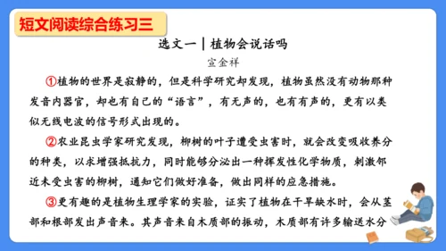 期末专项复习 说明文阅读复习（课件）-2024-2025学年语文五年级上册（统编版）