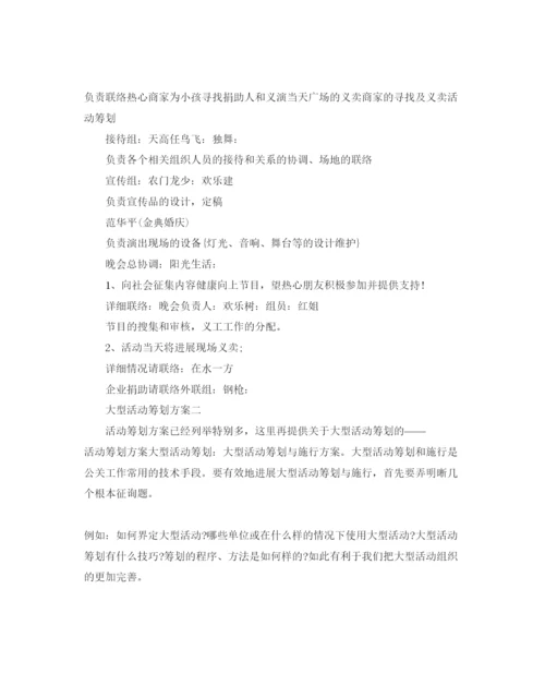 精编大型活动策划方案最经典模板5篇集锦大全.docx