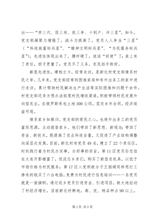 村党支部典型事迹 (2).docx