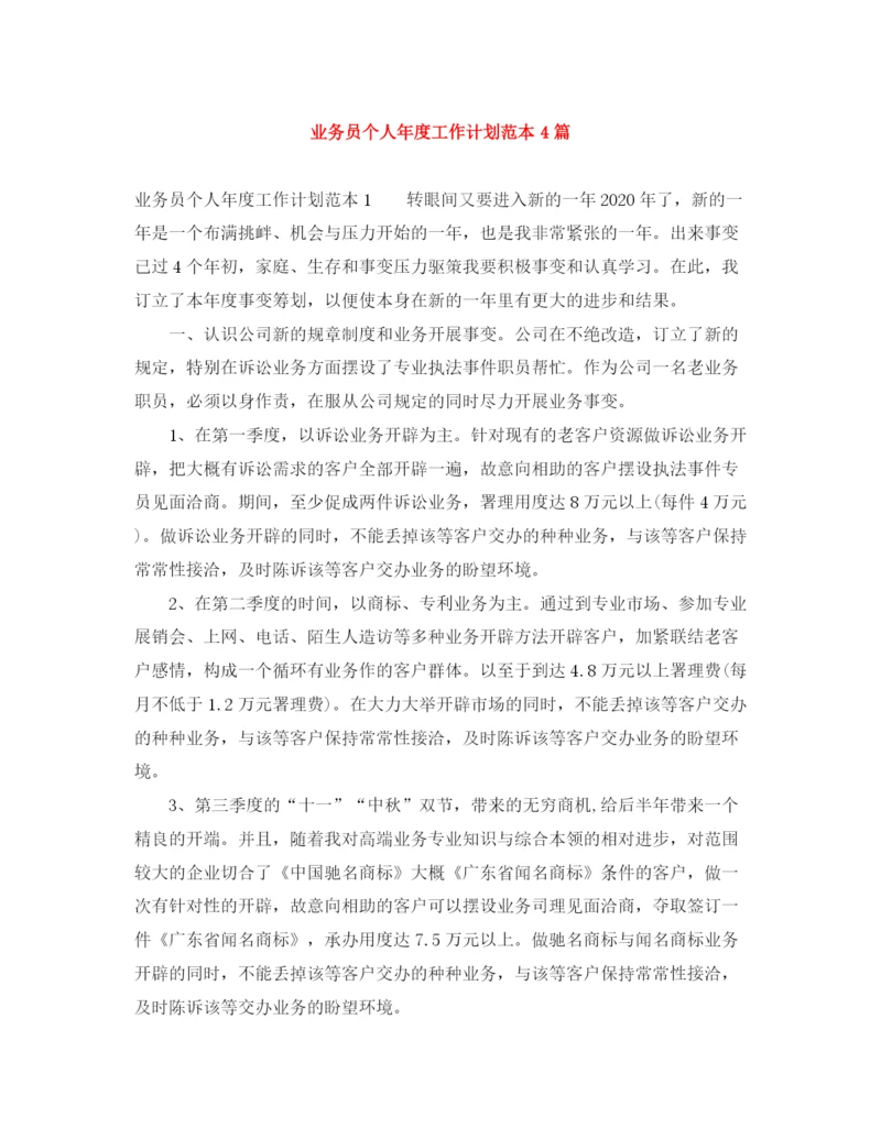精编之业务员个人年度工作计划范本4篇.docx