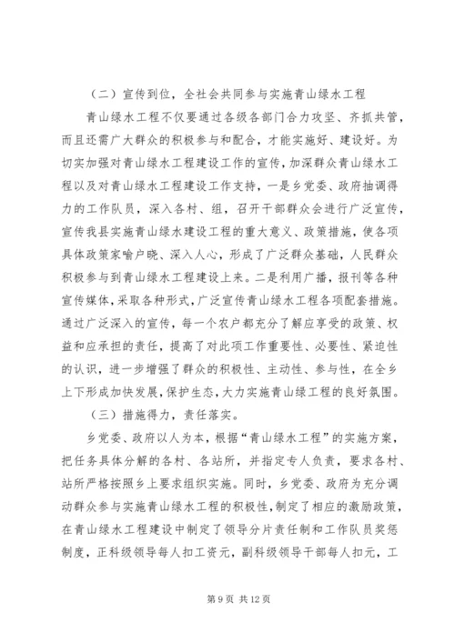 乡青山绿水工程实施情况汇报.docx