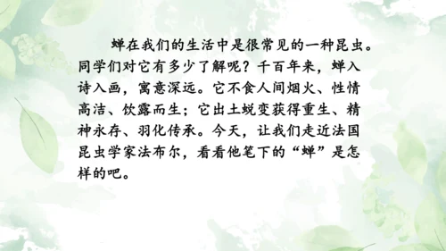 第21课《蝉》课件